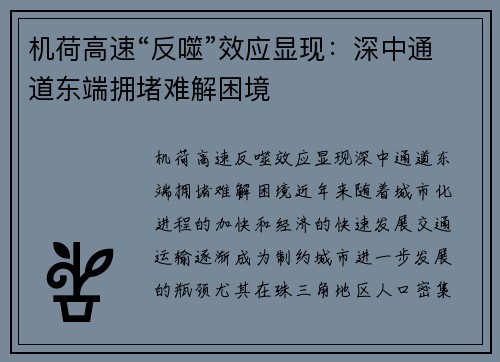 机荷高速“反噬”效应显现：深中通道东端拥堵难解困境